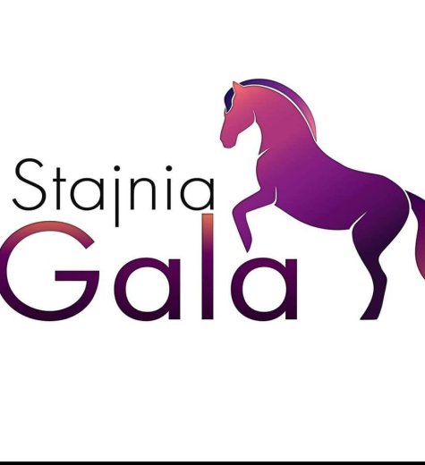 Gospodarstwo Agroturystyczne Stajnia Gala