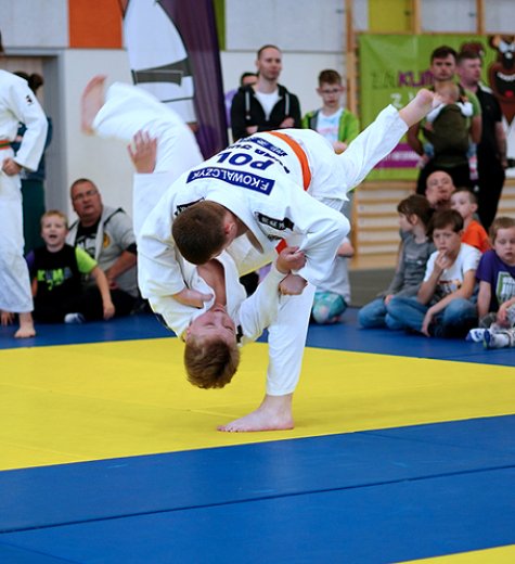 KUMA JUDO 
