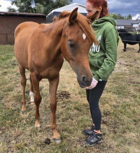 Fundacja KTOŚ, nie coś 